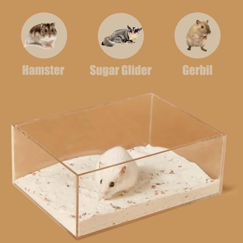 Transparent Rectangle Hamster Sand Bath Box for Hamster Cage Accessories, Digging Sand Container with Climbing Ladder, Large Sandbox for Hamsters Dust Bath and Play Sand，Large - size: L