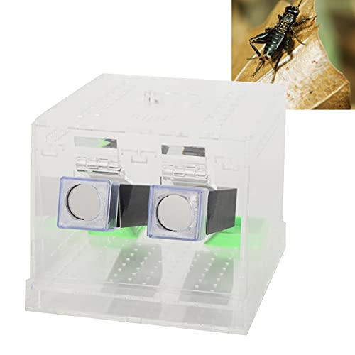 Cricket Keeper, Equipped with Water/Food Feeding Tub High Transparency Acrylic Material Cricket Keeper with Tubes Safe and Non- for Office for Home(L)