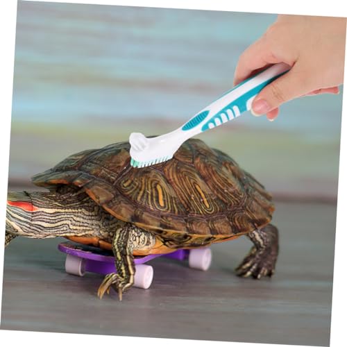Happyyami 3pcs Turtle Brush Tortoise Shell Cleaning Brush Reusable Lightweight Ergonomic Handle Multi-Purpose for Turtle Care - color: Light Green