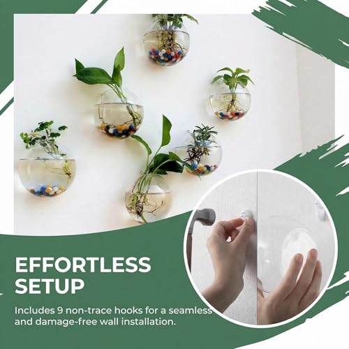 6 Pack Wall Hanging Planters Terrarium, 4.7 Inch Glass Oblate Globe Plants Containers, Wall Mount Clear Flower Vase for Propagating Hydroponics Plants, Air Plants (Plants Not Included)