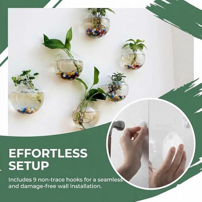 6 Pack Wall Hanging Planters Terrarium, 4.7 Inch Glass Oblate Globe Plants Containers, Wall Mount Clear Flower Vase for Propagating Hydroponics Plants, Air Plants (Plants Not Included)