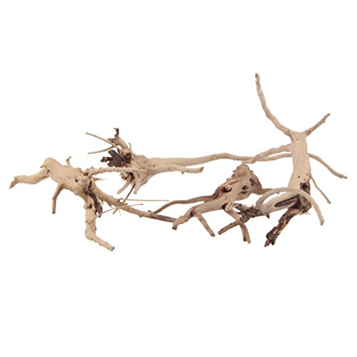 emours Natural Spider Wood Driftwood Vine Branches Reptiles Aquarium Decoration Assorted Sizes,Small,4 Pieces