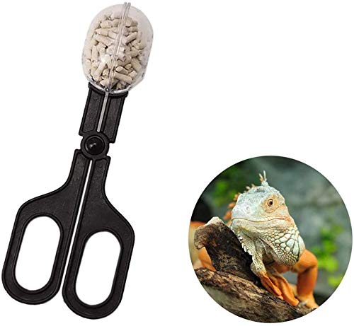 15 Inch Reptile Feeding Tongs Long Tweezers Cricket Clamp Bug Scooper | 3 Pcs Stainless Steel Straight and Curved Tweezers Feeder Tool for Snake Lizard Gecko Spider Bearded Dragon - size: 15 inch (Pack of 3)