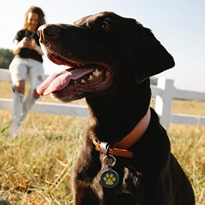 MYLUCKYTAG QR Code Pet ID | Personalized Dog & Cat Collar Tag | Online Profile with Instant Scanned Location Alert Email - style: Yellow Paw