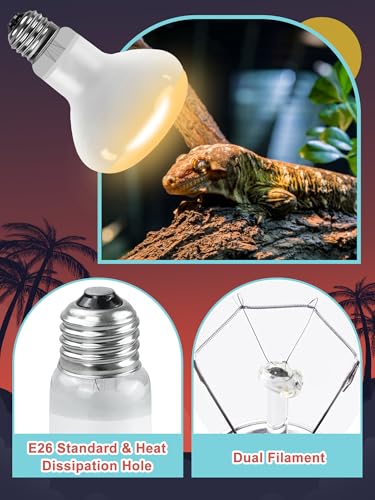 Heat Lamp Combo, 100W UVA Daylight & 26W Desert 10.0 UVB Light | Energy Saving UVB Bulb, Infrared Basking Light, For Bearded Dragon, Turtle and Lizard, Reptile Heat Lamp Bulb