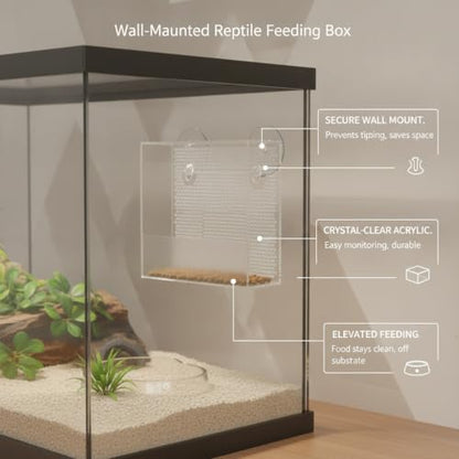 Clear Acrylic Wall-Mounted Feeding Dish with Suction Cups for Glass Terrariums, Reptile Food Bowl