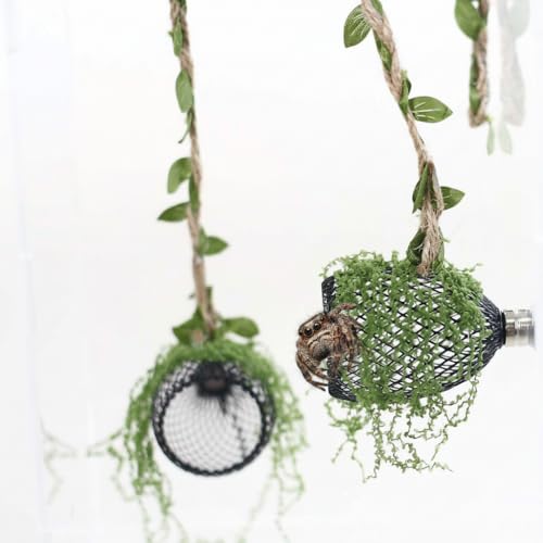 5Pcs Jumping Spider Enclosure Accessories with Hammock, Magnetic Climbing Rope, Resting Ledge Platforms and Feeding Dish Bowl & Hook for Terrarium Habitat (Two Hammocks) - color: Two Hammocks