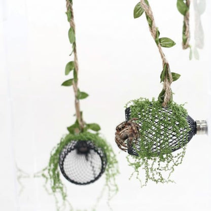5Pcs Jumping Spider Enclosure Accessories with Hammock, Magnetic Climbing Rope, Resting Ledge Platforms and Feeding Dish Bowl & Hook for Terrarium Habitat (Two Hammocks) - color: Two Hammocks