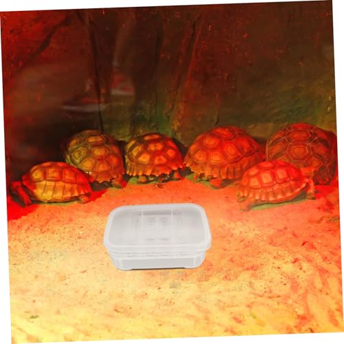 POPETPOP Tray Compartments Hatching Box for Snakes Geckos and Lizards Breeding for Reptiles