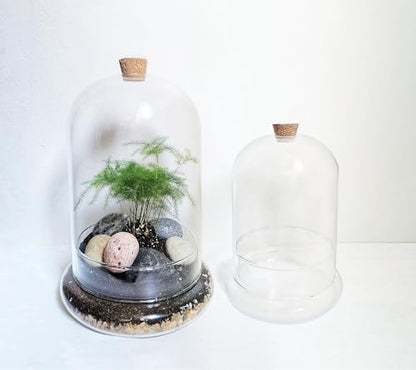 Handblown 7" Glass Terrarium with Opening for Air Flow & Cork Stopper Cloche Style Glass Dome Vivarium Display Case (Small) - size: Small