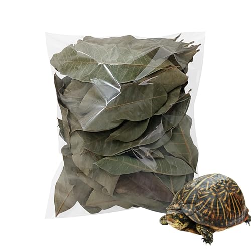 Longan Leaf Litter - Natural Pet Habitat Leaves Pack 50 Pieces, Soft Turtle Leaf Bedding Design | Clean Aquarium Foliage Cover for Frogs Fish Snakes Shrimp Lizards Tortoises Home Use