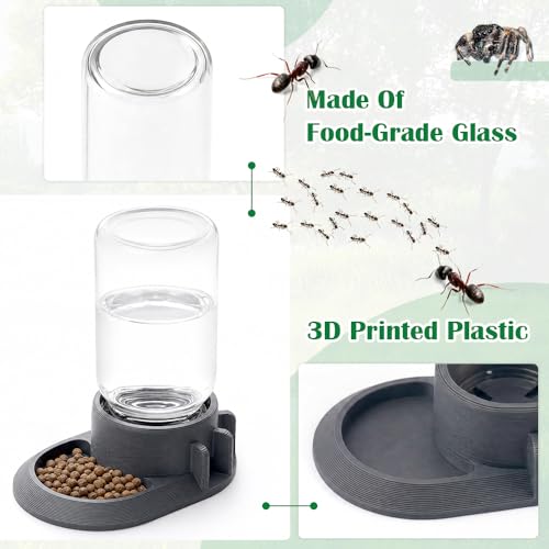 2-in-1 Ant Feeder & Waterer 10ml (Gray) – Dual Purpose Water Dispenser and Food Tray for Ant Farms