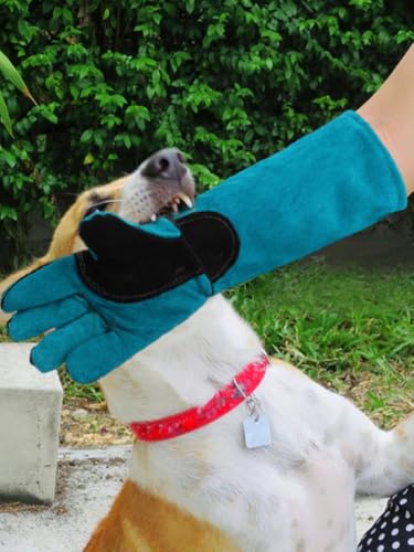 Animal Handling Gloves, Bite Proof Cat Gloves, Pet Leather Glove Cat Scratch with Pet Comb, Multipurpose for Rose Pruning, Gardening, Pets Grooming