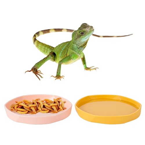 4 Pack Small Reptile Food Dish Bowl, Plastic Worm Water Dish Plate | Reptile Food Bowls for Lizard Gecko Bearded Dragon Chameleon 4" W x 4" D x 0.5" H, Blue and Yellow - color: Blue and Yellow