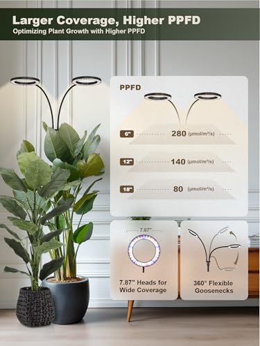 Tall Plant Grow Light for Indoor Plants, Full Spectrum Plant Light | 48W LED Grow Lamp with Dual Heads, 23.5-71" Adjustable Height, 3/9/12/16H Timer, 6-Level Dimming for Large Houseplants - color: Black (Dual Heads)