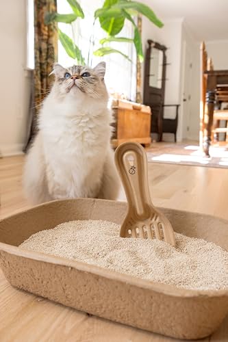 Disposable Cat & Rabbit Litter Scoops - All Natural, Plastic Free & Sustainable, Travel Kitty Litter Scooper for Bunny, Hamster, Guinea Pig, Ferret, Rat & Other Animal Litter Boxes (6-Pack)