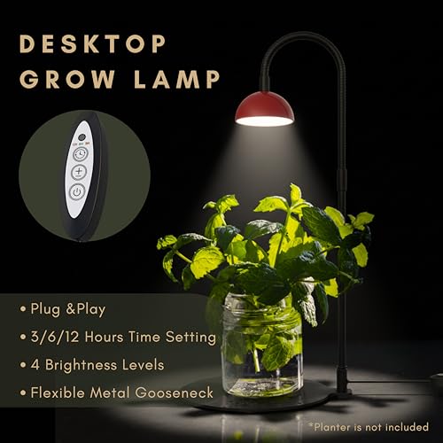 Desktop Grow Lamp Terrarium Light Plant Light on Table with Flexible Gooseneck Lamp for Terrarium Kitchen Vetegable Succulent Lamp with Auto Timer 3/6/12Hrs, 4 Brightness Levels (Red) - color: Red