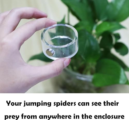 2Pcs Small Jumping Spider Feeding Dish, Magnetic Tiny Food Dishes Water Dish for Jumping Spider, Tarantula and Other Small Pets,35mm