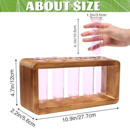 Glass Plant Propagation Station with 5 Test Tubes Colorful Planter Vase | Birthday Gifts for Women in Wooden Stand - color: Pink
