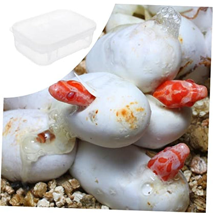 Transparent Reptile Breeding Box Incubation Hatchery Box for Snakes Lizards Easy to Clean Design for Reptile Pets Professional Incubator with Great Visibility