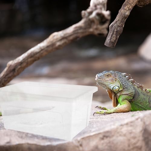 minkissy PVC Reptile Feeding Box for Small Pets and Reptiles with High Surface Hardness and Easy to Observe Container Suitable for Small Animals Showing and Incubation
