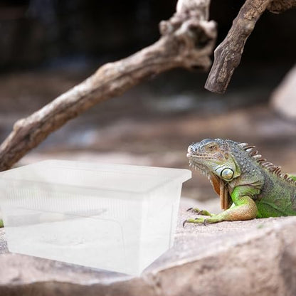 minkissy PVC Reptile Feeding Box for Small Pets and Reptiles with High Surface Hardness and Easy to Observe Container Suitable for Small Animals Showing and Incubation