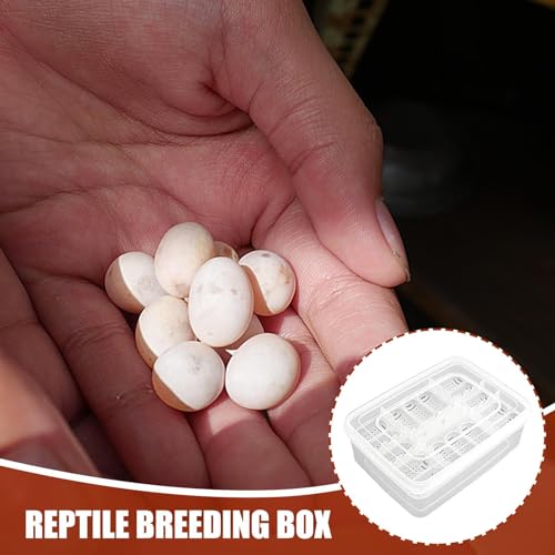 Reptile Incubation Egg Trays Incubation Box Hatching Case Hatching Tray | 16 Grids Transparent Reptile Incubator for Snake Lizard Turtle Gecko Chameleon Bearded Dragon Leopard Gecko Egg Incubation - color: TO