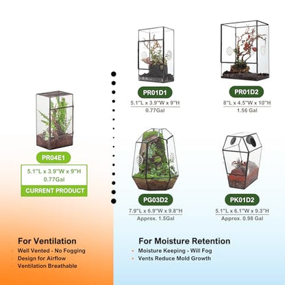 NCYP Glass Terrarium with Door and Mesh for Small Insects - 5.1 x 3.9 x 9 Inches Rectangle Reptile Habitat, Black - Modern Home Tabletop Decor (Terrarium Only)