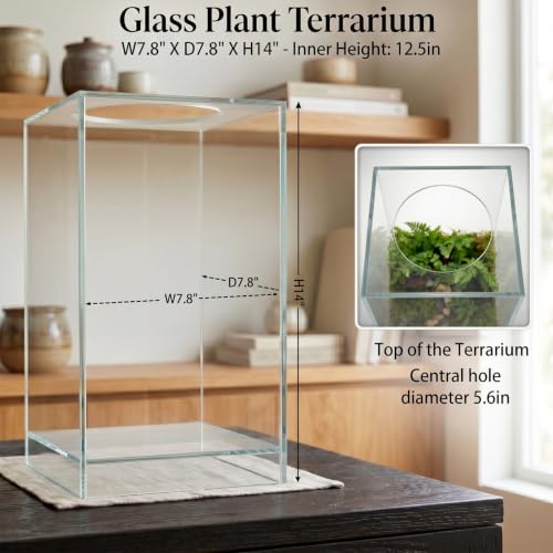 Desktop Glass Plant Terrarium with Grow Light for Carnivorous Plants & Moss | L7.8 x W7.8 x H14 in; Timer Auto On/Off; Succulent Display; Miniature Gardening; Indoor Decor; Gift for Plant Lovers.