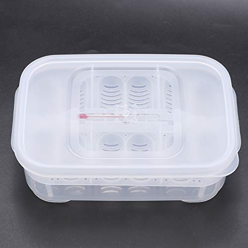 Reptile Incubation Box Clear Plastic Hatcher Safe Snakes Eggs Incubator for Monitoring Birth Scene:, Lizard