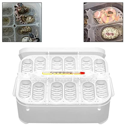 Reptile Incubation Box Reptile Incubator Egg Tray Hatching Box with 12 Grids for Turtle Gecko Lizards Mane