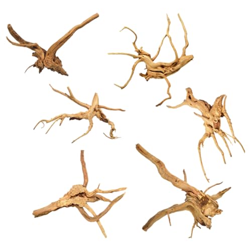 6 Pcs Natural Small Spiderwood Driftwood, 6-8 Inch Assorted Branches Aquarium Fish Tank Reptile Terrarium Landscape Decor - color: Spiderwood Driftwood 6 - 8IN