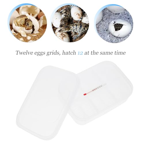 ERINGOGO 1pc Reptile Breeding Box Thermometer for Hatching Gecko Lizard and Other Reptile Eggs Lightweight and Compact Incubator Tray for Easy Use