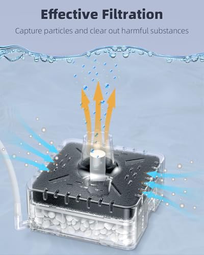 Pawfly Aquarium Sponge Filter, Small Fish Tank Filter with Foam and Air Stone, Sponge Filter for Fish Tanks up to 5 Gallons (Air Pump Not Included)