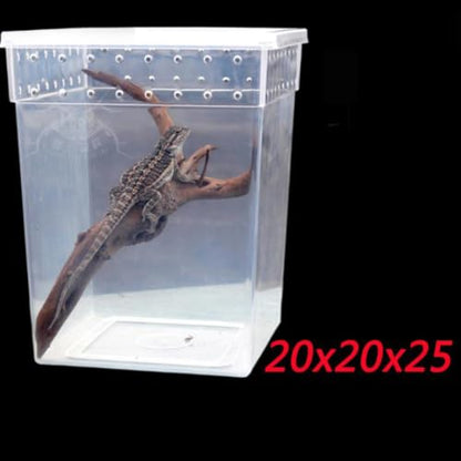 YARNOW Reptile Feeding Box for Lizards and Spiders Lightweight Pp Material with Ventilated Design Suitable for Feeding and Temporary Quarantine Zone