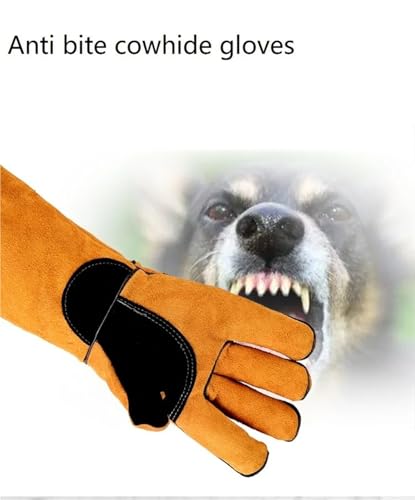 Long Leather Animal Handling Gloves for Dogs, Cats and Reptiles, Protective Bite Resistant Gloves - color: Green