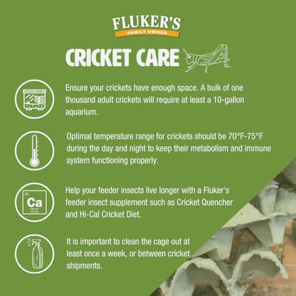 Fluker's Live Crickets for Reptiles, Chickens, Birds and Fishing, 100 Count Feeder Insects Gut Loaded with Orange Cube, High Calcium, and Vitamins, Shipped Fresh in a Ventilated Box (1/4 Inch) - size: 100 Count (Pack of 1), style: Small, 1/4"