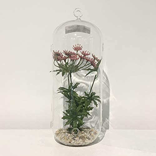 WGV Hanging Glass Plant Terrarium, Width 5", Height 12", Lantern DIY Air Succulent Planter Clear Tea Light Votive Candle Holder, Wedding Event Office Home Outdoor Decor, 1 Piece