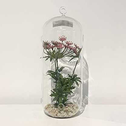 WGV Hanging Glass Plant Terrarium, Width 5", Height 12", Lantern DIY Air Succulent Planter Clear Tea Light Votive Candle Holder, Wedding Event Office Home Outdoor Decor, 1 Piece