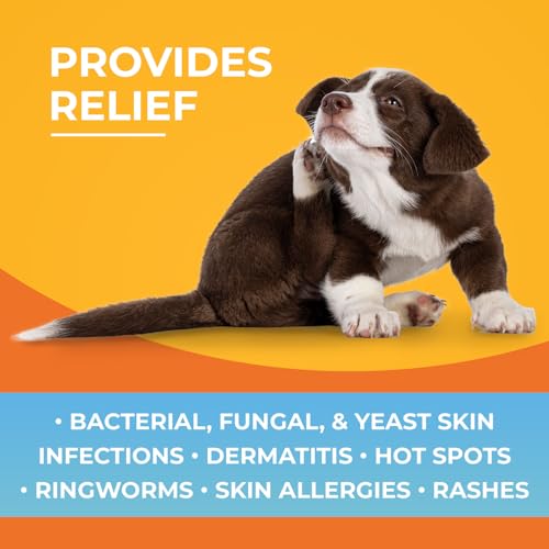 Antibacterial & Antifungal Medicated Wipes for Dogs and Cats – 100 Count - Chlorhexidine Wipes with Ketoconazole for the Treatment of Rashes, Skin Infections, Itchy Paws, and Pet Acne - size: 100