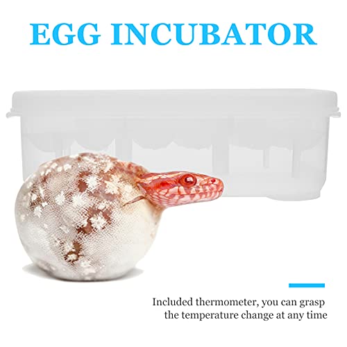 ERINGOGO 1pc Reptile Breeding Box Thermometer for Hatching Gecko Lizard and Other Reptile Eggs Lightweight and Compact Incubator Tray for Easy Use