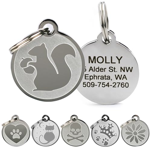 GoTags Playful, Custom Engraved Pet ID Tags, Solid Stainless Steel, Personalized Dog and Cat Pet ID with up to 4 Lines of Text, Cute, Durable and Long-Lasting - style: Squirrel