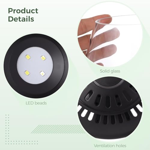 Mini Desktop Glass Plant Terrarium with Grow Light - Planter for Succulent Moss Miniature Gardening Landscape, Small Fish Tank, Indoor Plant Growth, Office Home Decoration, Plant Lovers Gifts