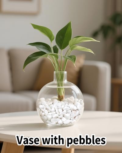 12LB White Succulent & Cactus Gravel Pebbles - 1/4-3/8 Inch Natural Polished River Rocks, Decorative Stones for Plants, Terrariums, Vases, Aquariums & Outdoor Gardening