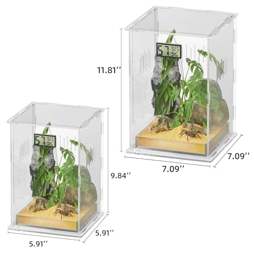 Reptile Terrariums, with Temperature Hygrometer, 7.1"x7.1"x11.8" Acrylic Reptiles Breeding Box Terrarium Cage Tank for Small Reptile Insect Home Office (Arboreal Large) - size: Arboreal--L (Tray)