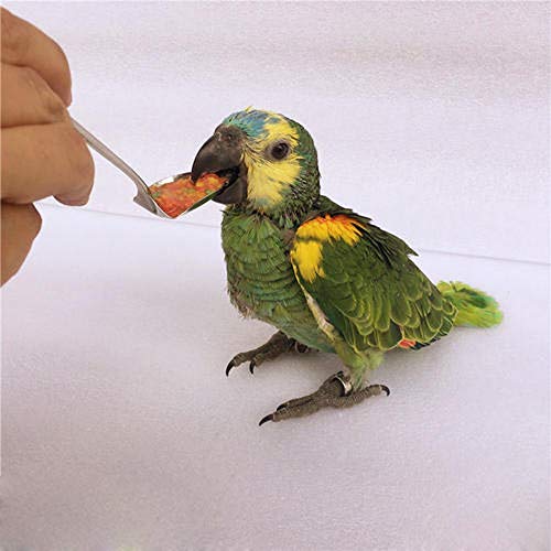 PONLEE Bird Feeding Syringe Manual Feeding Rearing Gavage Curved Needle Medication Tube 20ML - size: 20ML