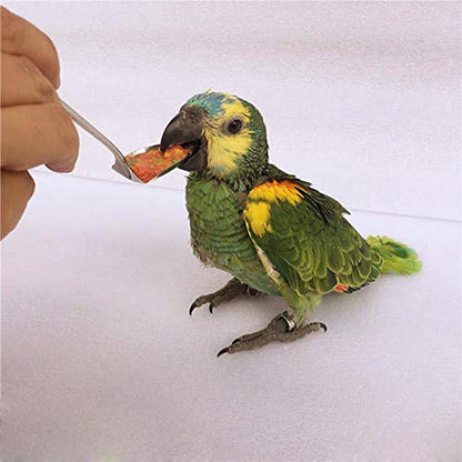 PONLEE Bird Feeding Syringe Manual Feeding Rearing Gavage Curved Needle Medication Tube 20ML - size: 20ML