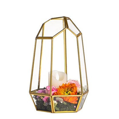 NCYP NO Door Gold Geometric Glass Terrarium for Succulent Air Plants | Irregular Terrarium Planter - Home Fairy Garden Small Decorative Display, Centerpiece - 6.5x5.7x9.8 Inches (No Plants)
