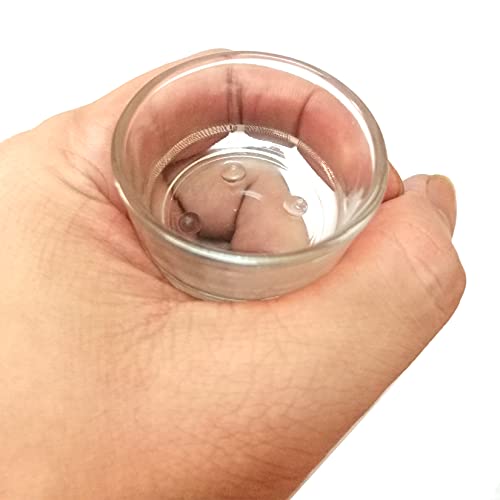 Small Reptile Feeding Dish Food Water Bowl Feeder Cup Basin, 4 Pack, 0.5 Oz