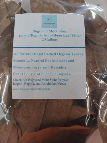 2 Gallon Bag of Organic Magnolia Leaves Leaf Litter Pet Reptile Vivarium Frogs Isopods, Bioactive Setups, Isopods, Springtails - 60 to 100 Plus Leaves depending on Leaf Size